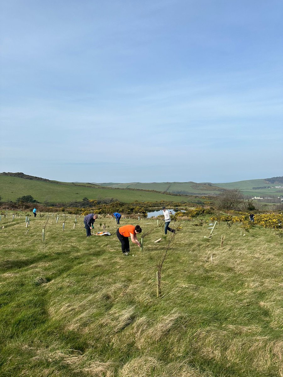 MLProduce's tweet photo. Last Friday we were lucky enough to have ILS world returned to the farm for one of their Wild Work days. They removed tree guards, removed old fence posts and more. Thank you so much as what you did in hours would have taken us days. #ILSworld #helpingwildlife #isleofman https://t.co/ZyFQ1I0Vzi