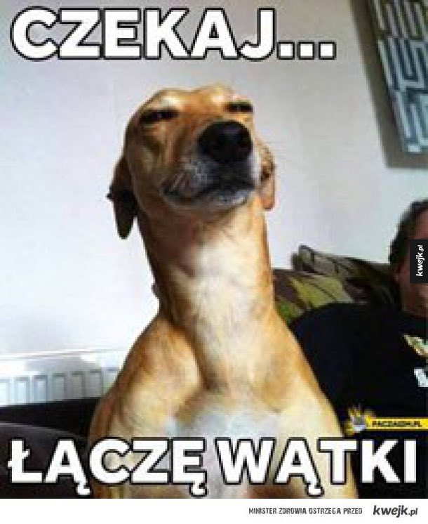 Krzysztof Ziomek tweet media