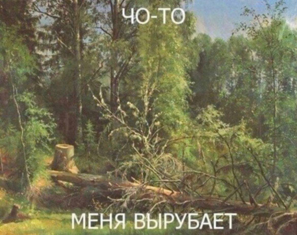 геми🦎 tweet media