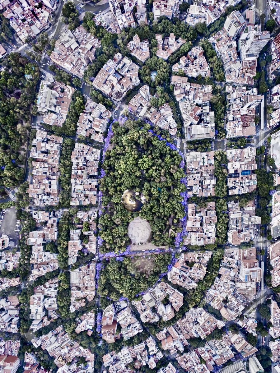 BowTiedPassport tweet media