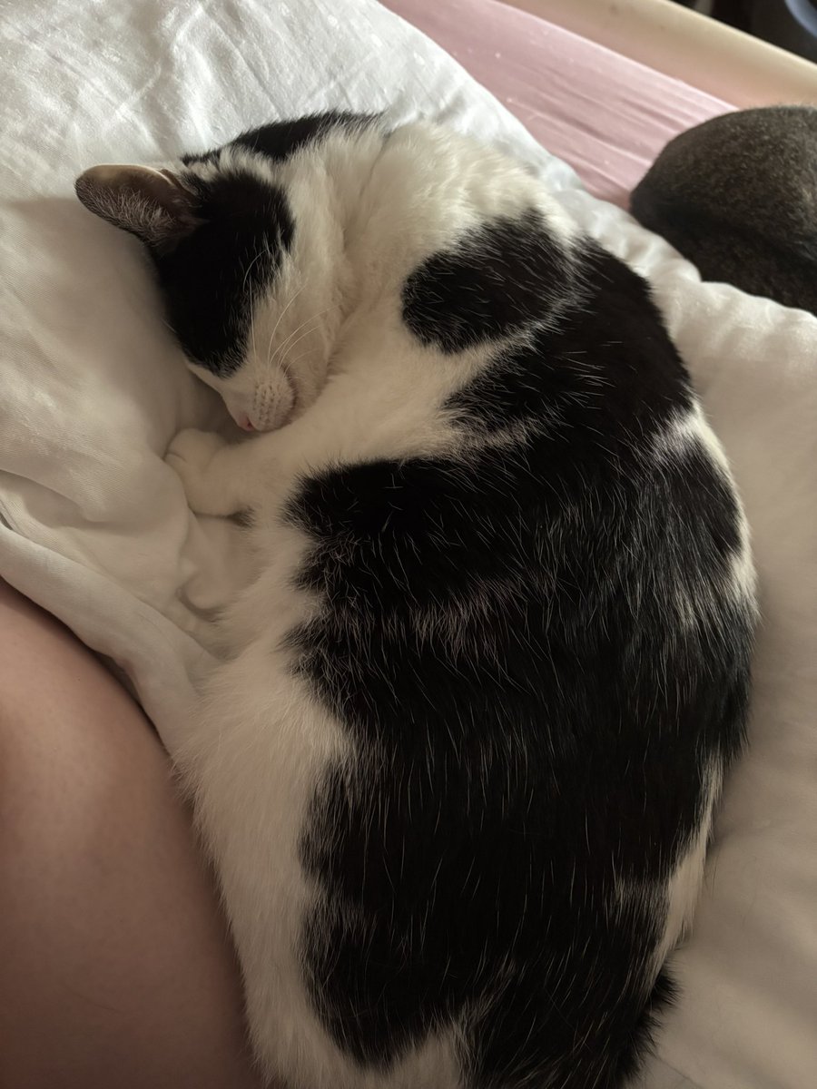 ToriBell, MPH tweet media