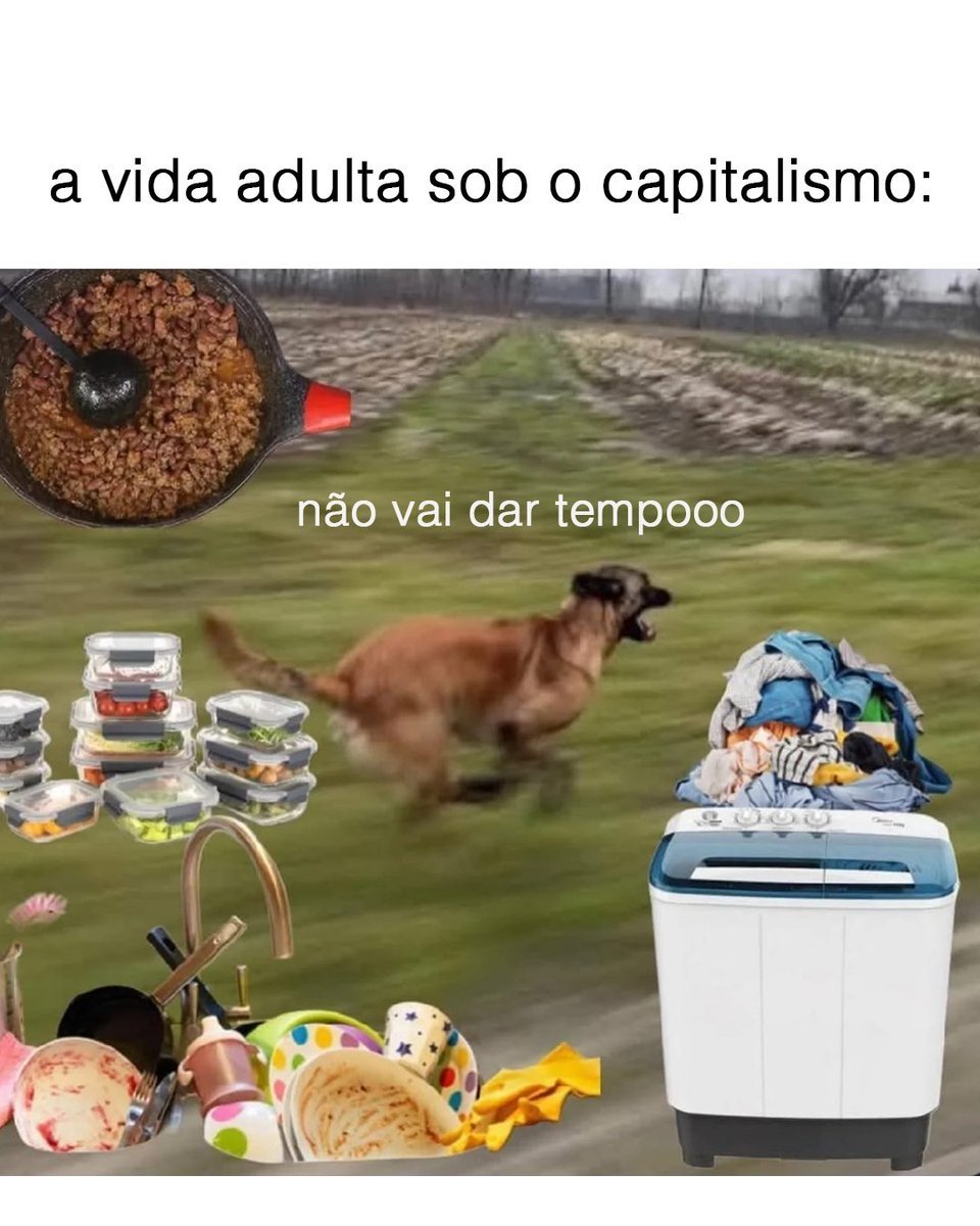 Traficante de Memes tweet media