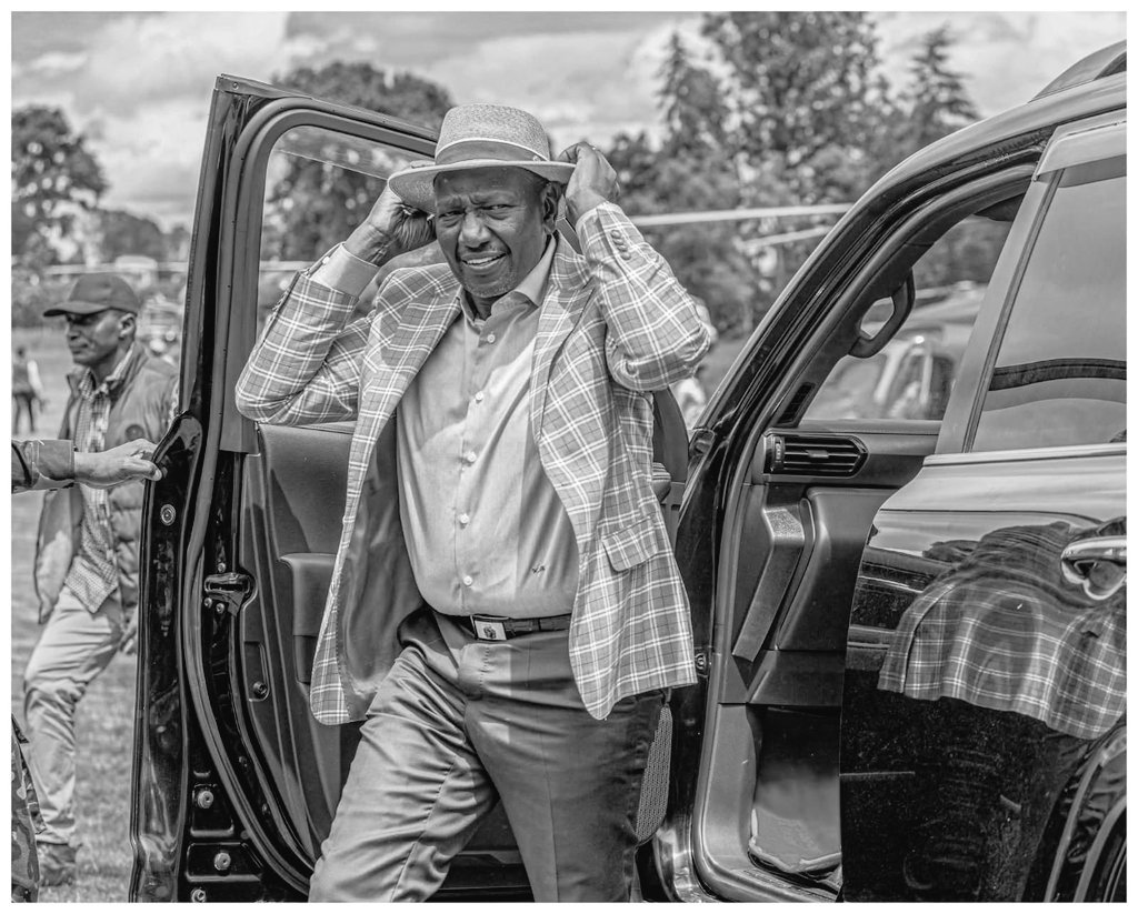 Lion of the Mountain tweet media