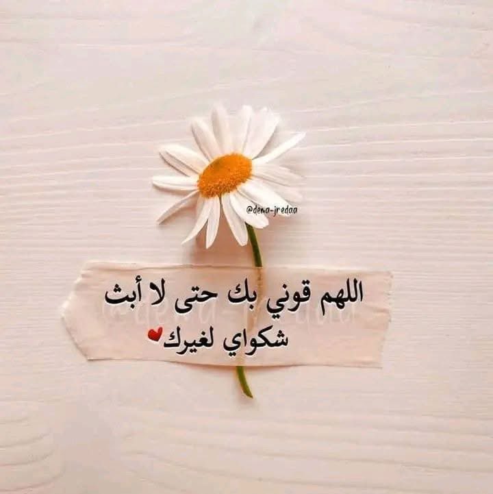 الشوق عطري tweet media