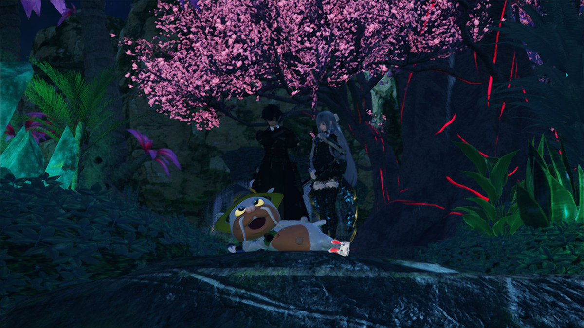 Solplay(SLP66) tweet media