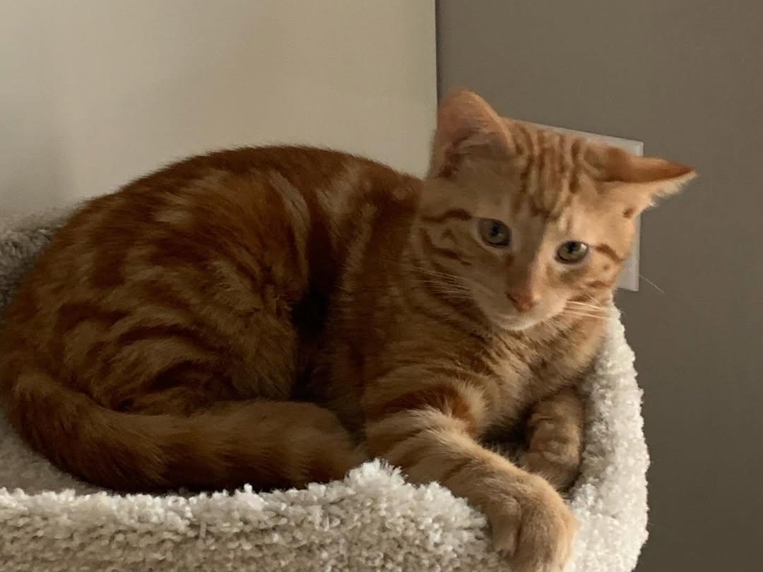 Sara Mary ⭐❤️ tweet media