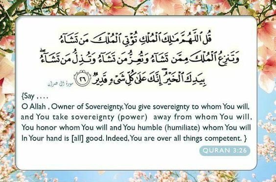 Fahad Malik tweet media