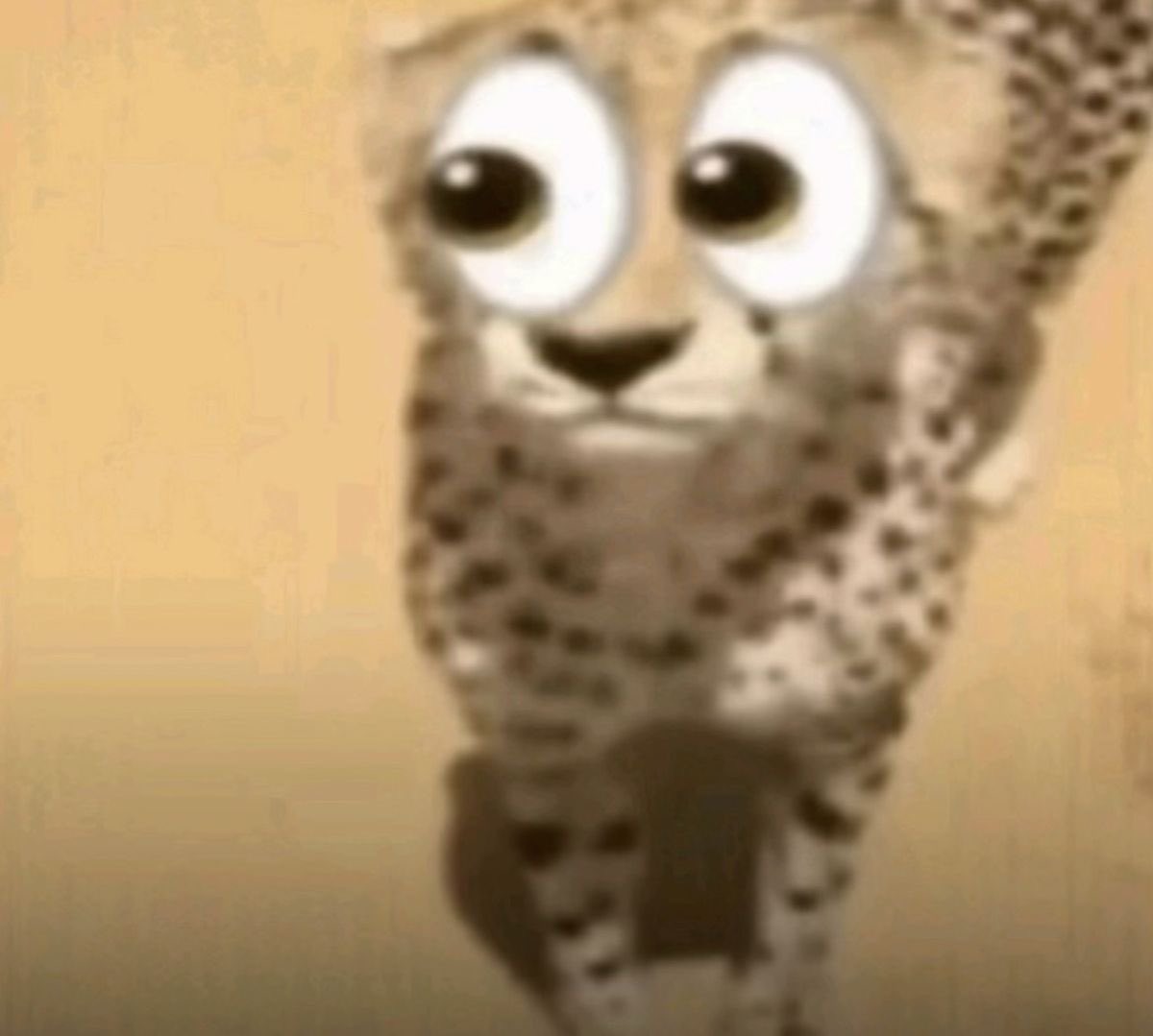 fawn 𐂂 tweet media