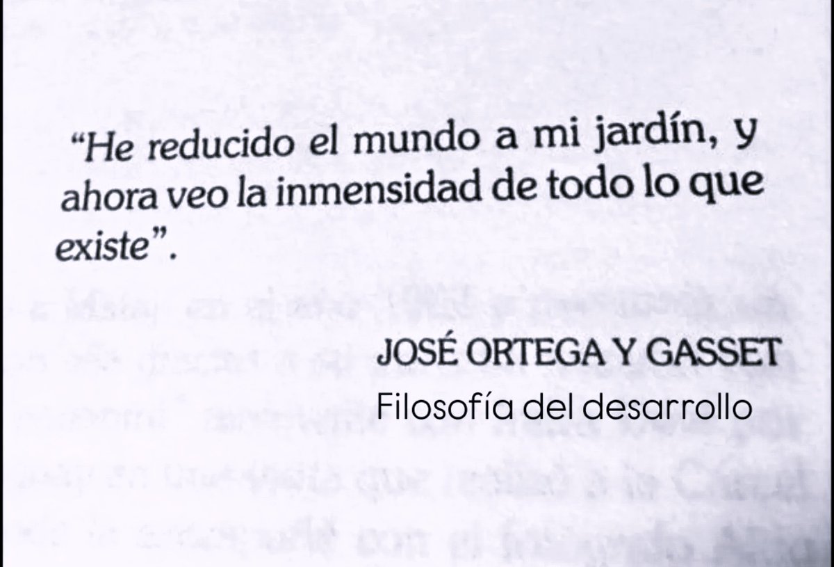 literland tweet media