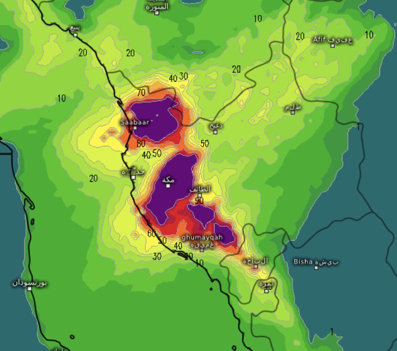 راعــد tweet media