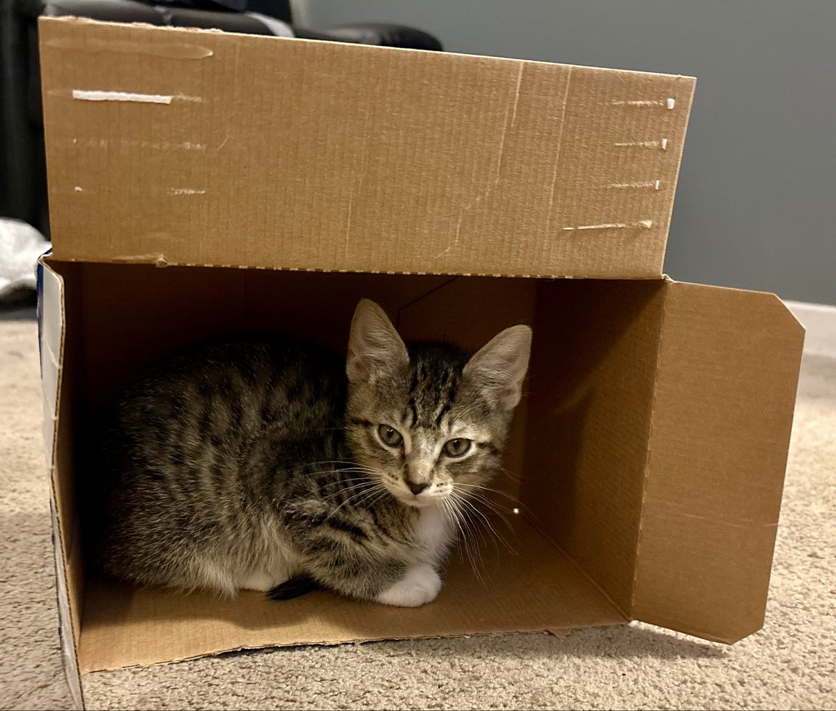 Lynn Strozinsky tweet media