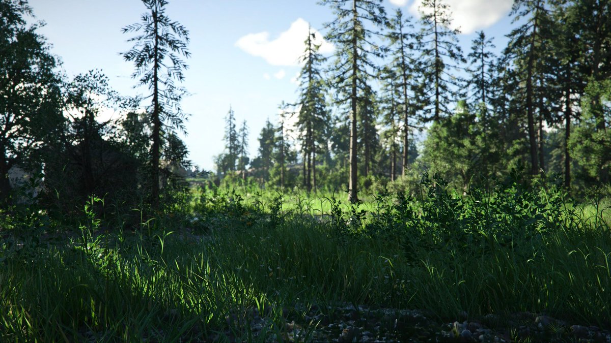 Solidrak tweet media