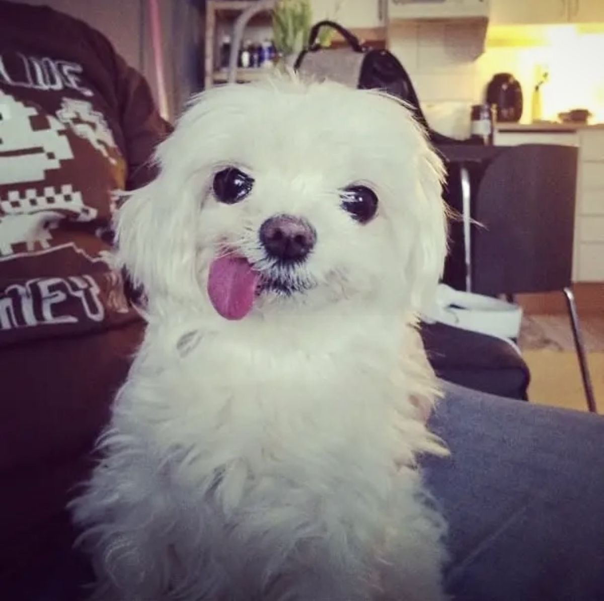 lula /•᷅‎‎•᷄\੭ tweet media