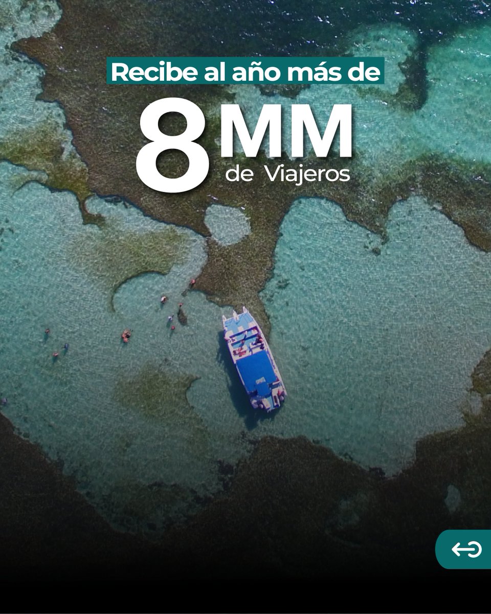 PROMICHES tweet media