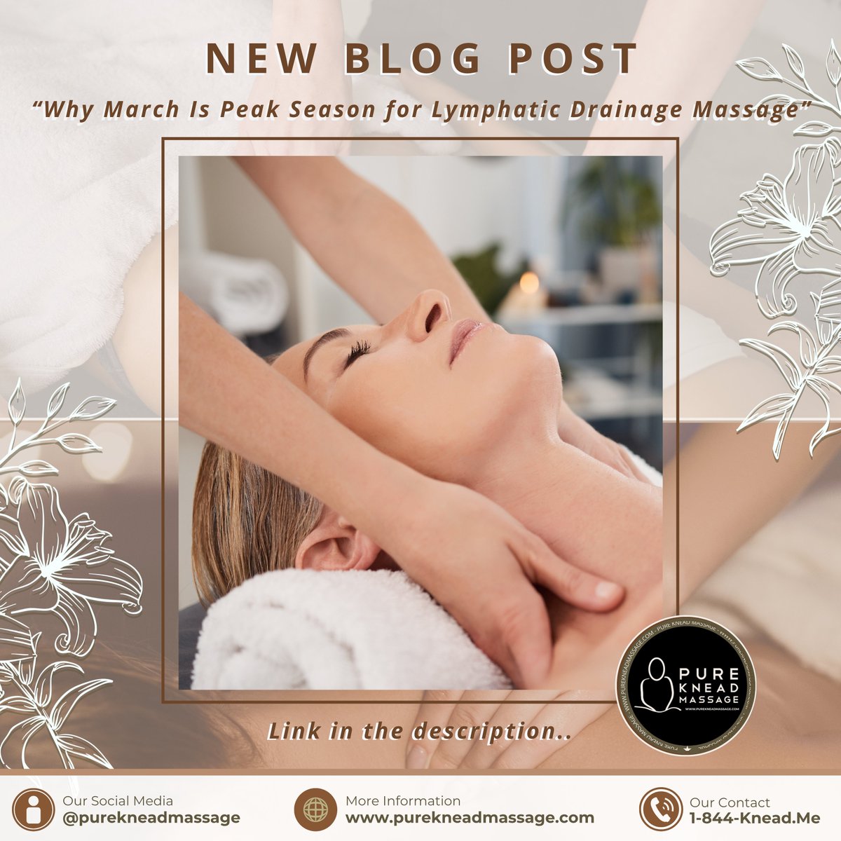 March is peak season for lymphatic drainage massage—and your body feels the difference.

Learn why spring is the perfect time to reset and feel lighter.

Read the blog:
 purekneadmassage.com/blog/
#LymphaticDrainage
#MassageTherapy
#SpringWellness