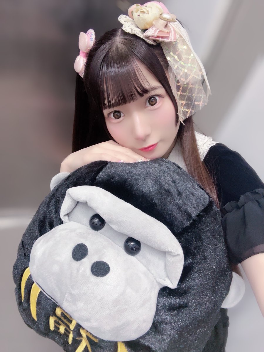 葉山あゆり🐰🌸TEARS tweet media