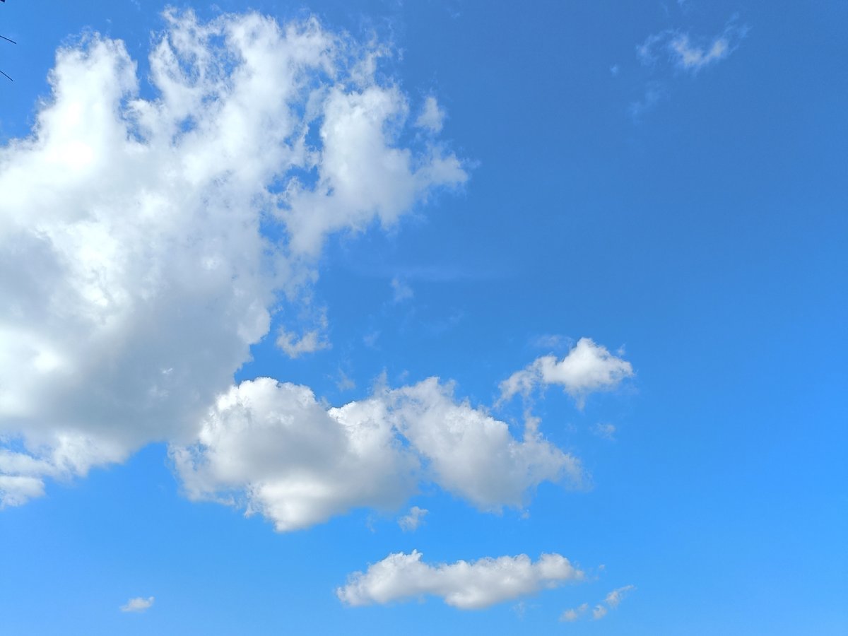 arcedon prez tweet media