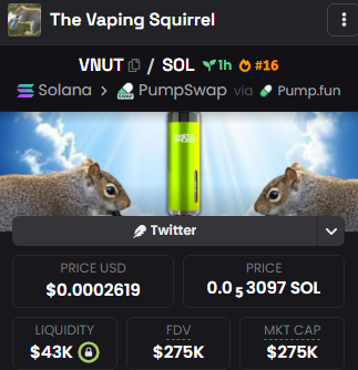 clown 🤡 tweet media