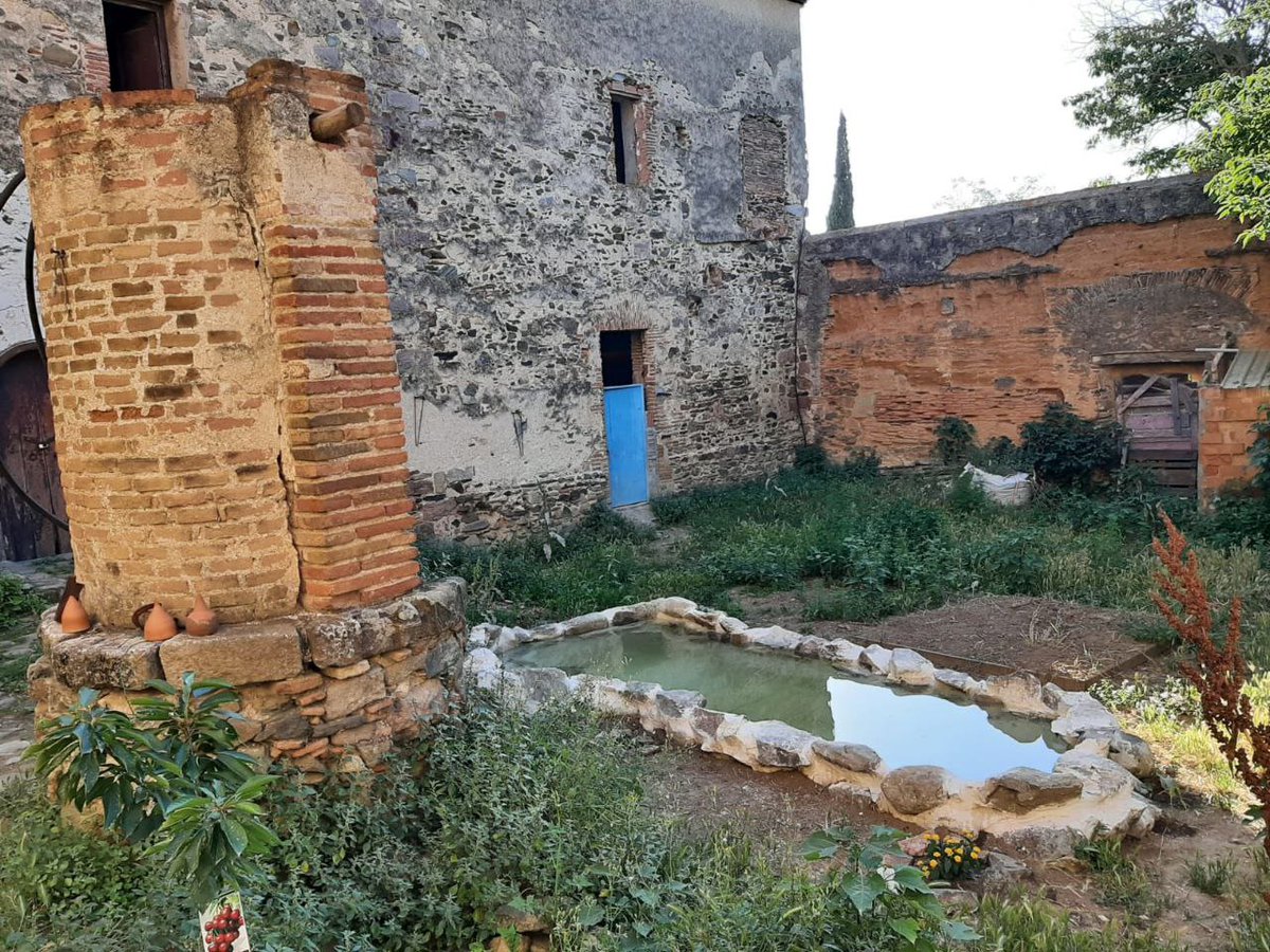 collserolejant tweet media