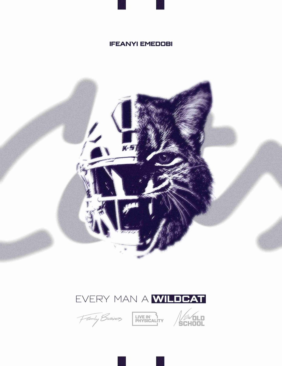 Ifeanyi Emedobi tweet media