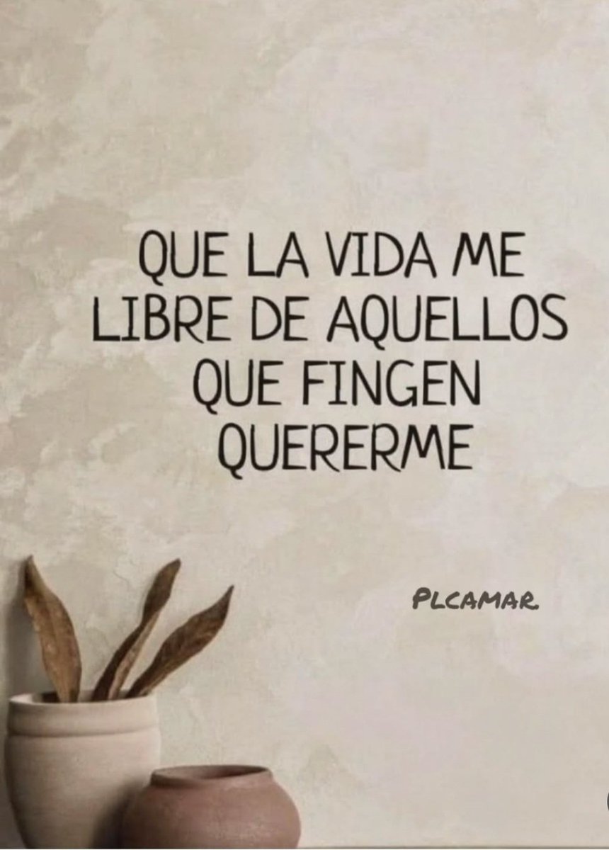 PilarHaces tweet media