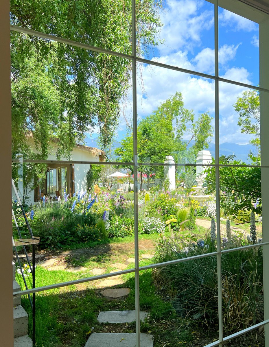 defy sandra tweet media