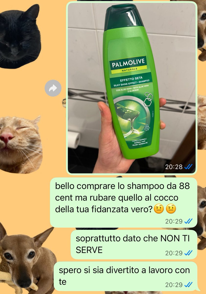 tildas🐇 tweet media