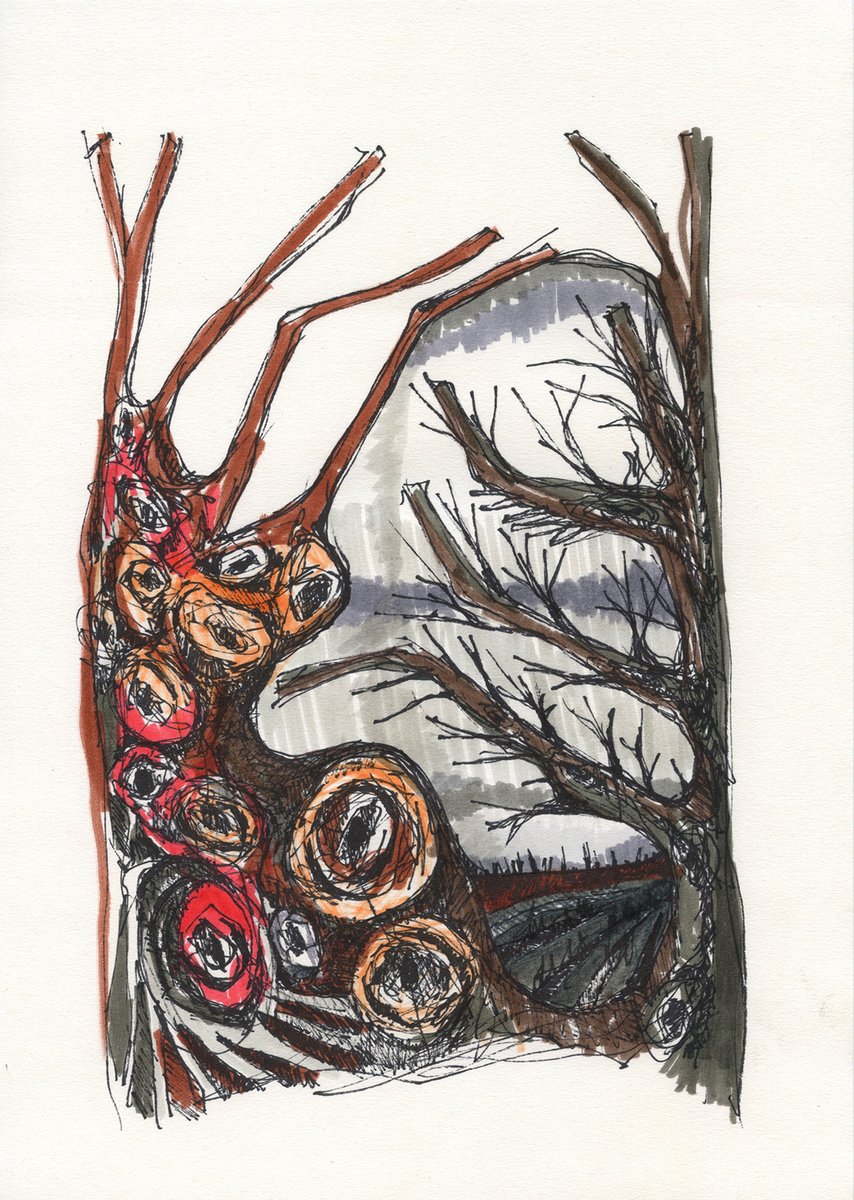 M. À. Pintanel tweet media