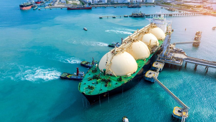 Christian Rodriguez tweet media