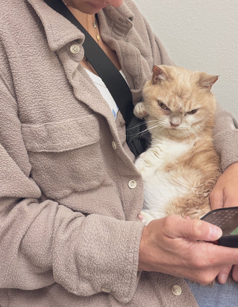 Stephanie Cavinder tweet media