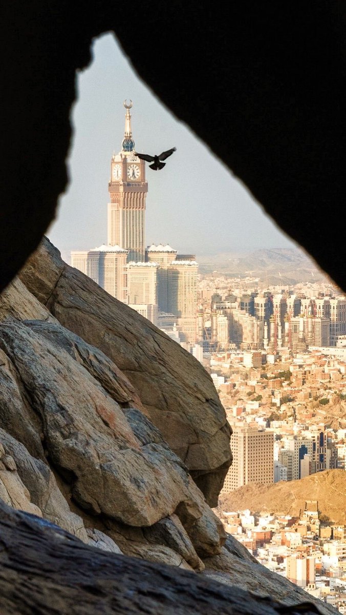 Halal Nation ☪︎ tweet media