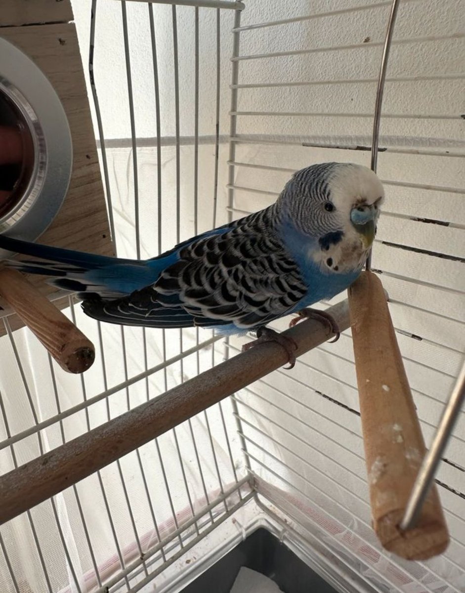 Frosty🎃 tweet media