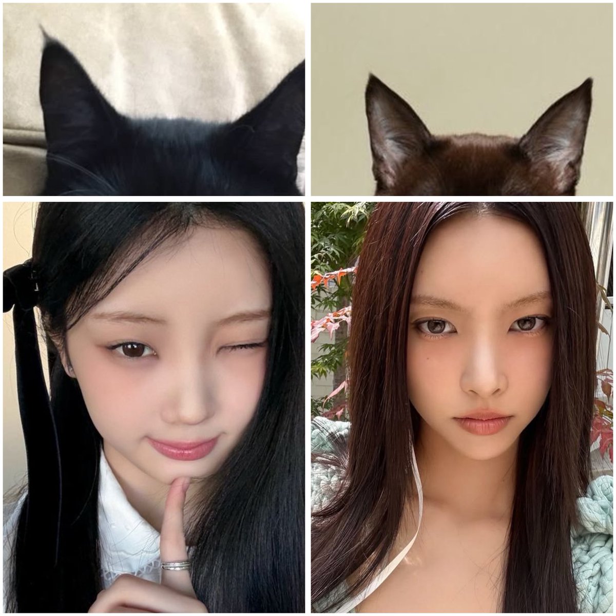 ⋆.ೃ࿔* tweet media