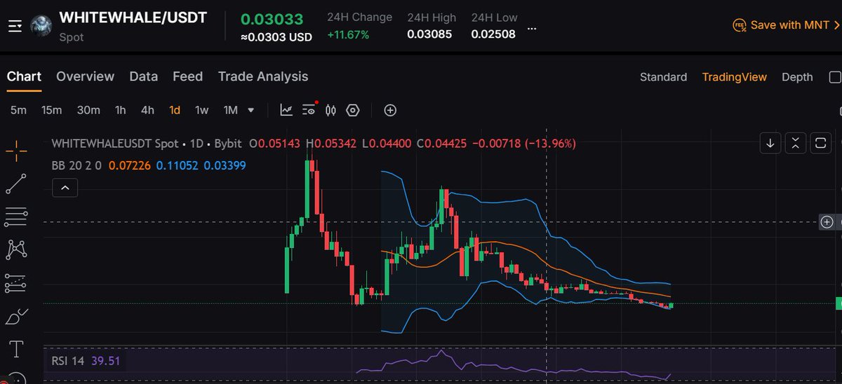 $whitewhale nailed that bottom and bounced off it. This memecoin has been consistent with its strength, and i am yet to see any memecoin match it. You have the best opportunity to buy another bottom and ride with us to the peak.