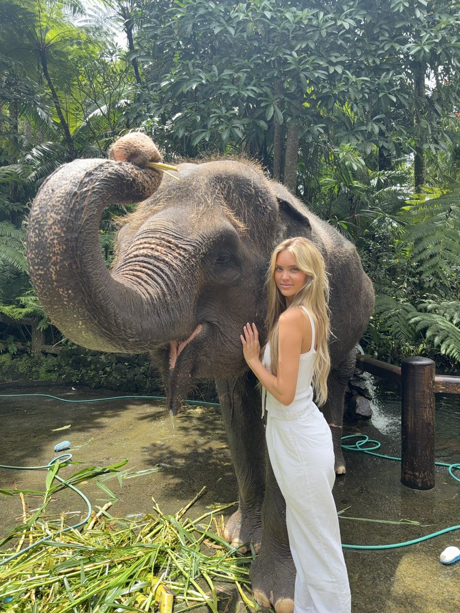 Paige mackenzie tweet media