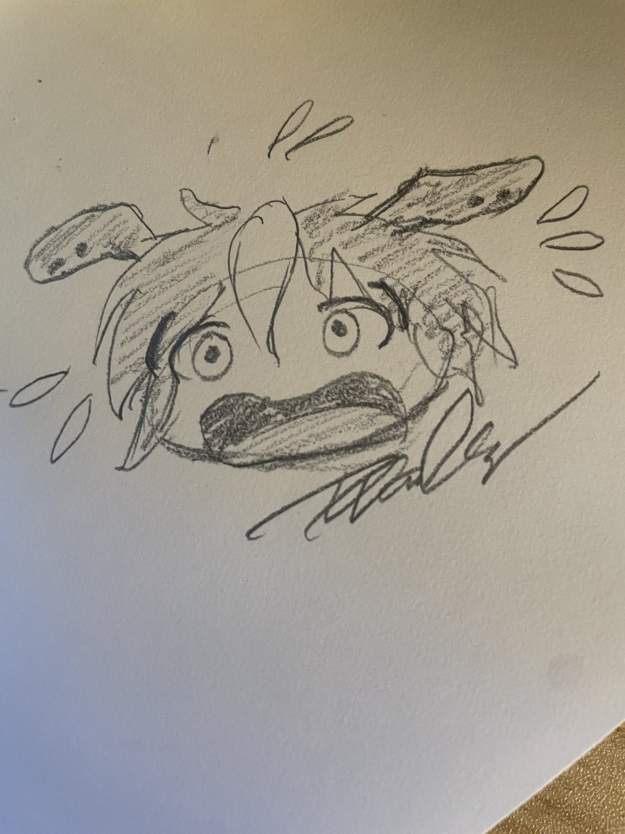 tinypocketcats tweet media