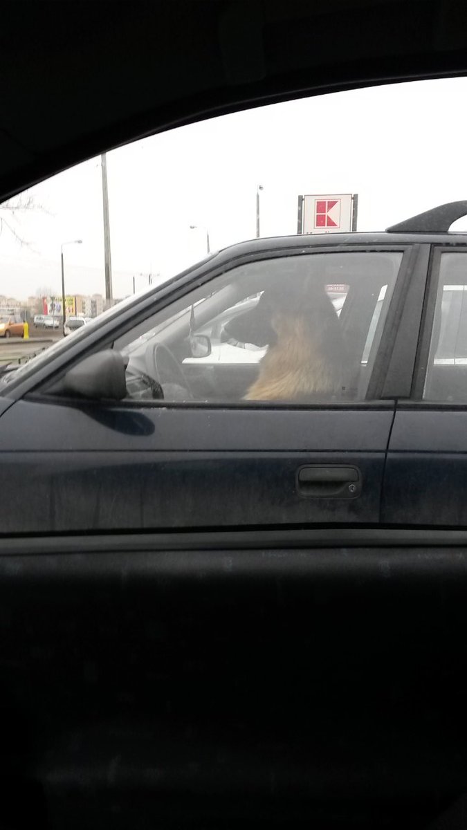 Piotr dsfe tweet media