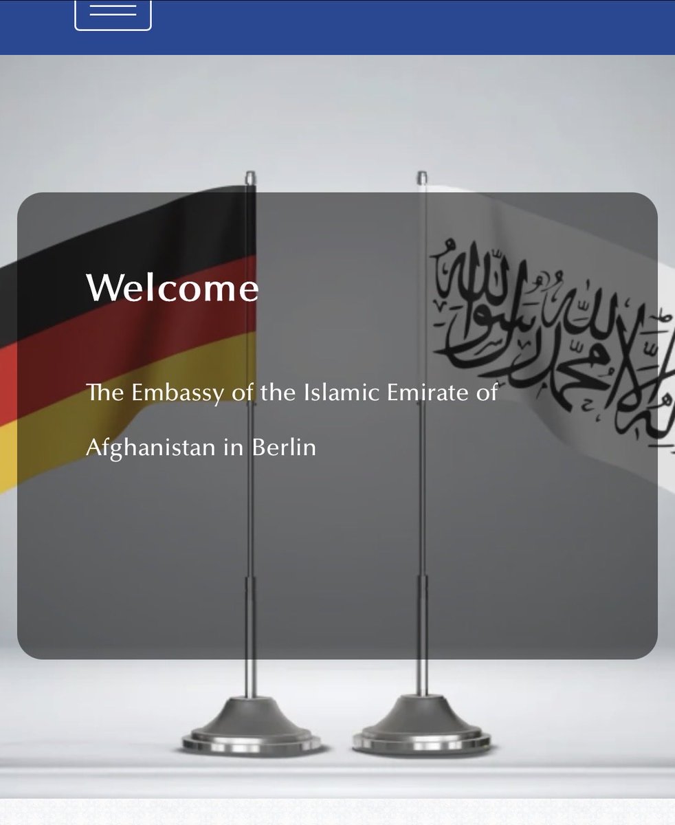 Marlene Schönberger tweet media