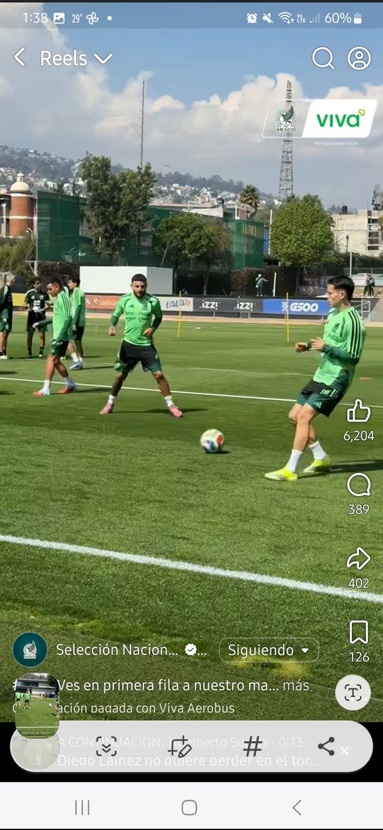 Análisis Toluca (Veguismo) tweet media