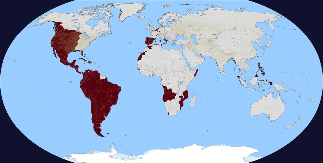 DolorDeOjos79 tweet media