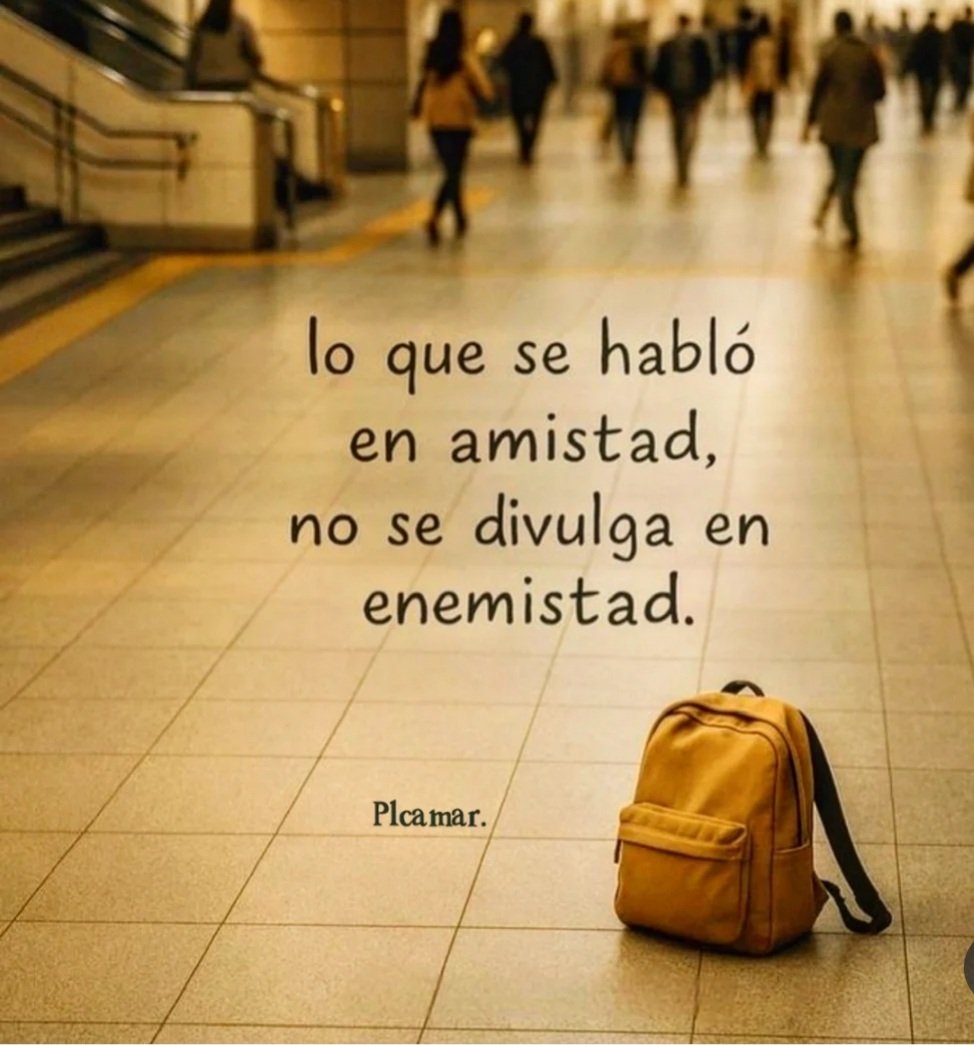 PilarHaces tweet media