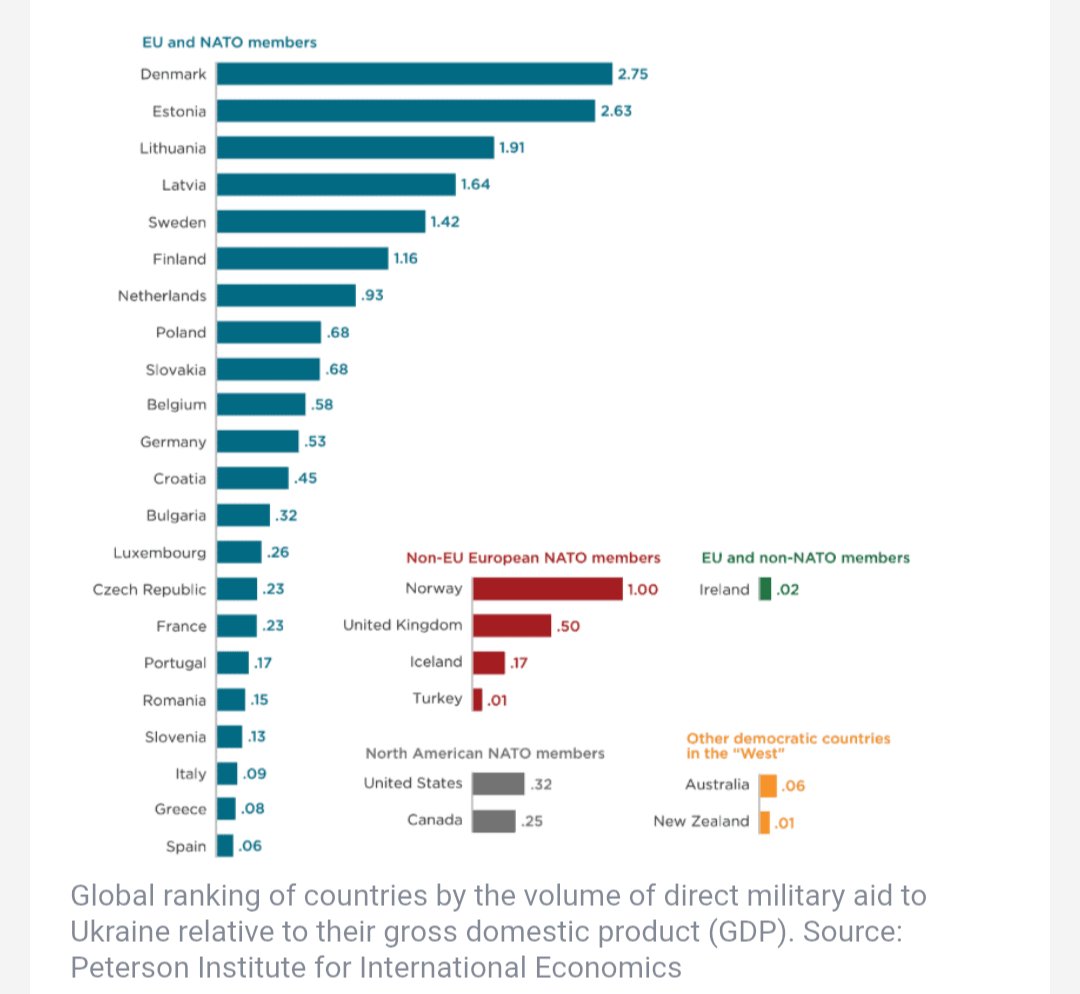 Anastasiya Paraskevova tweet media