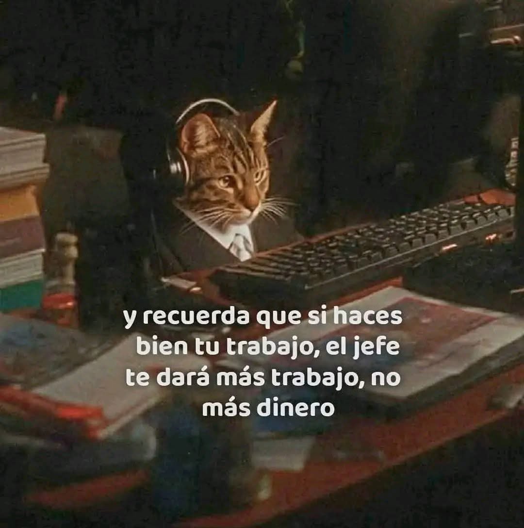 Dilo con gatitoz tweet media