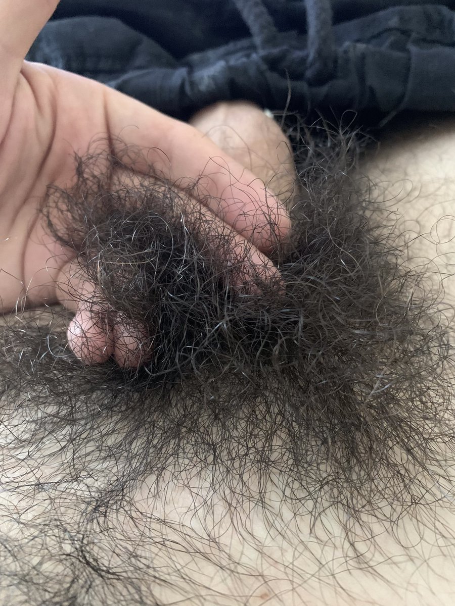 MalePubes (60K) tweet media