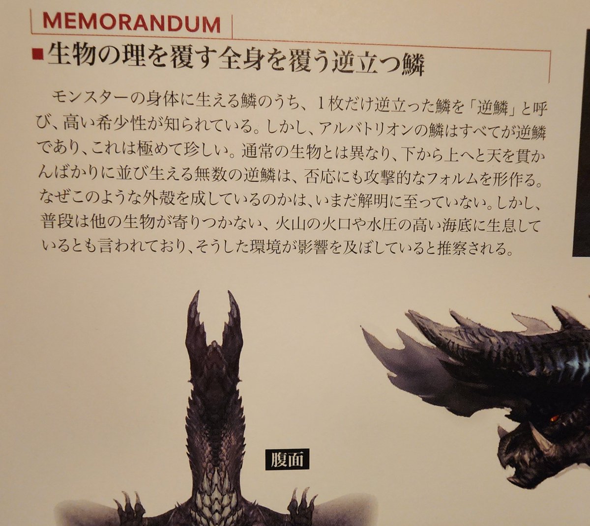 BannedGammoth tweet media