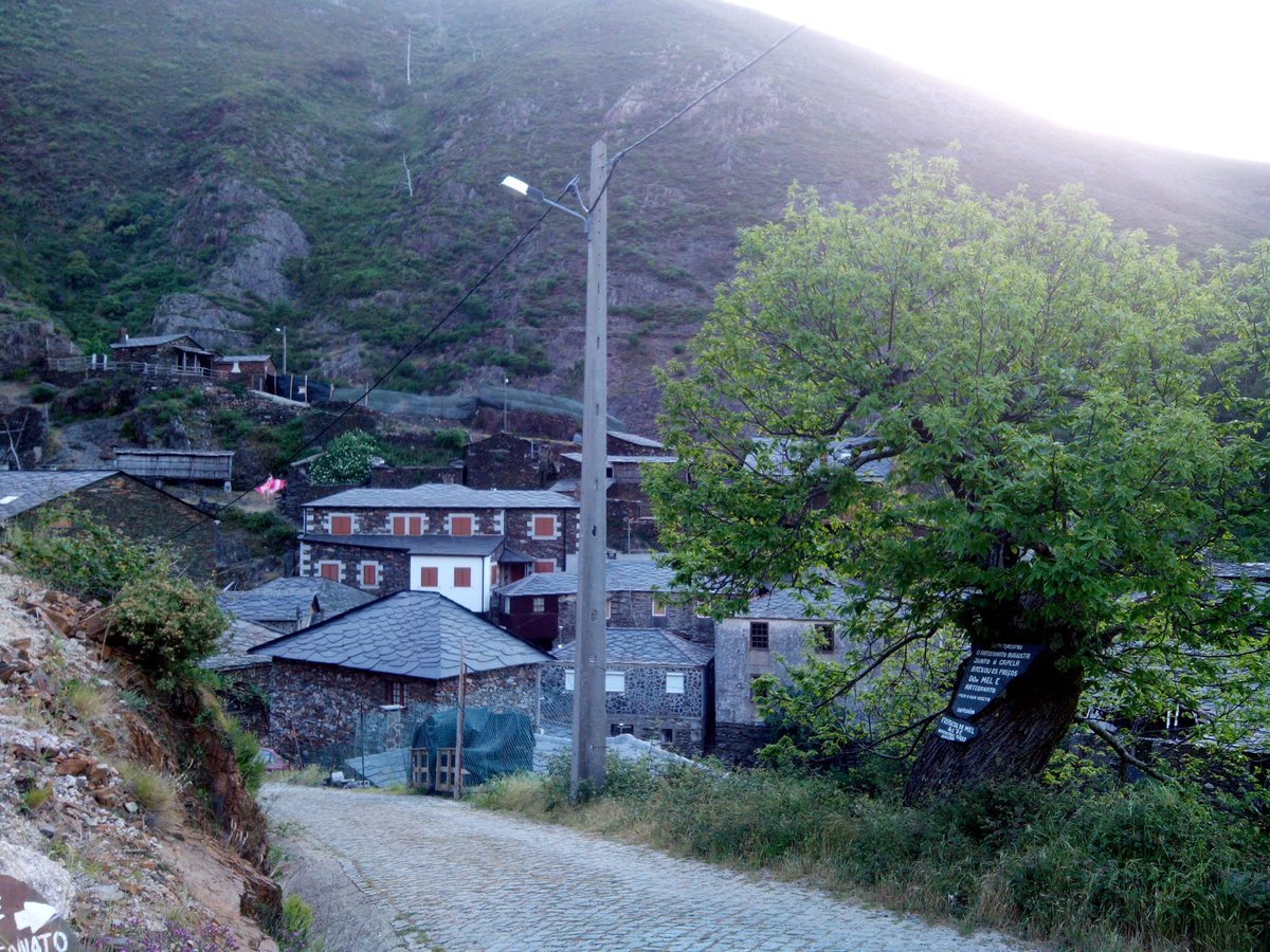 Sandra | Sunshine tweet media