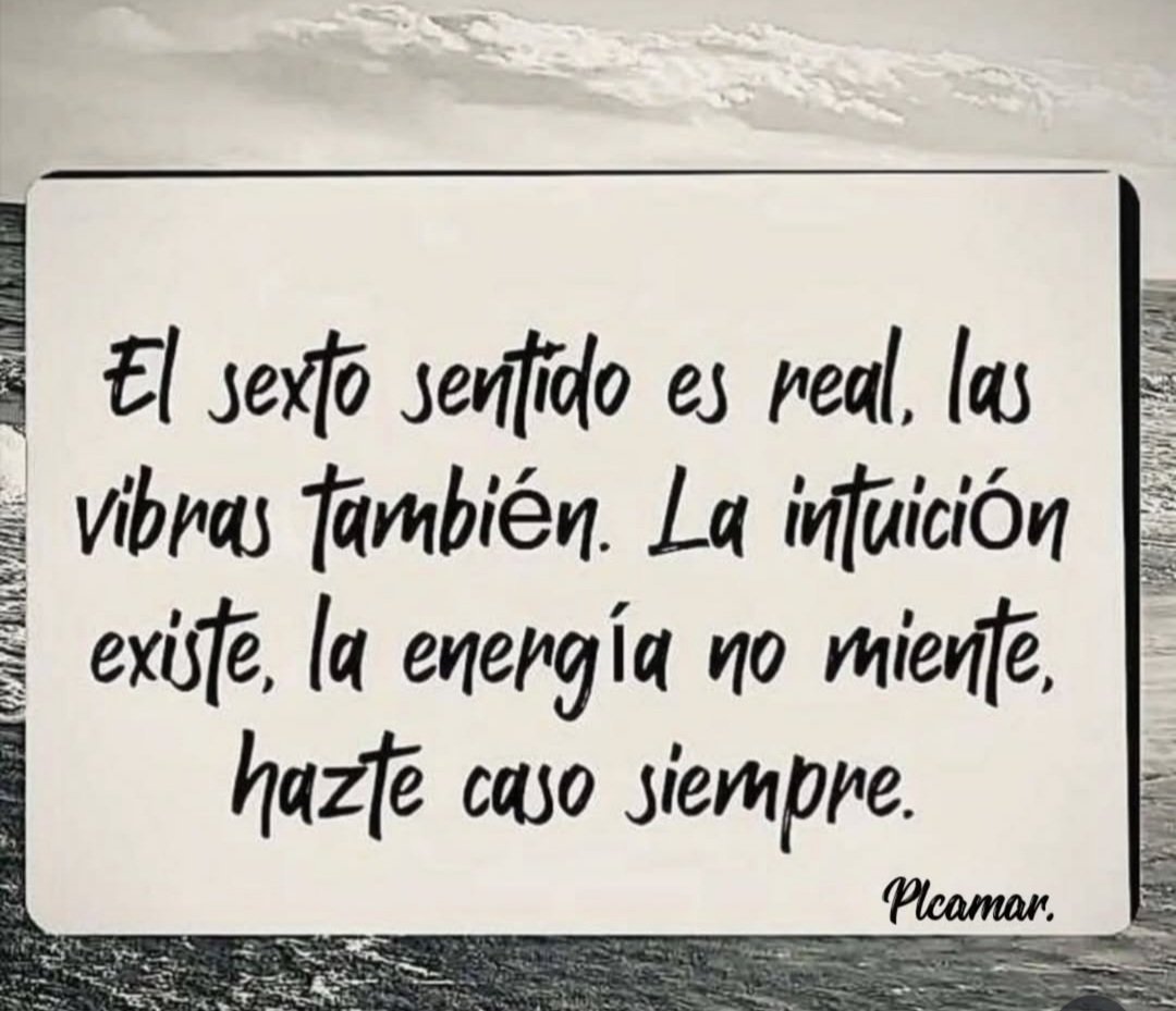 PilarHaces tweet media