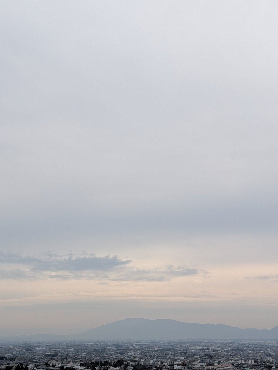 ヨッシー tweet media