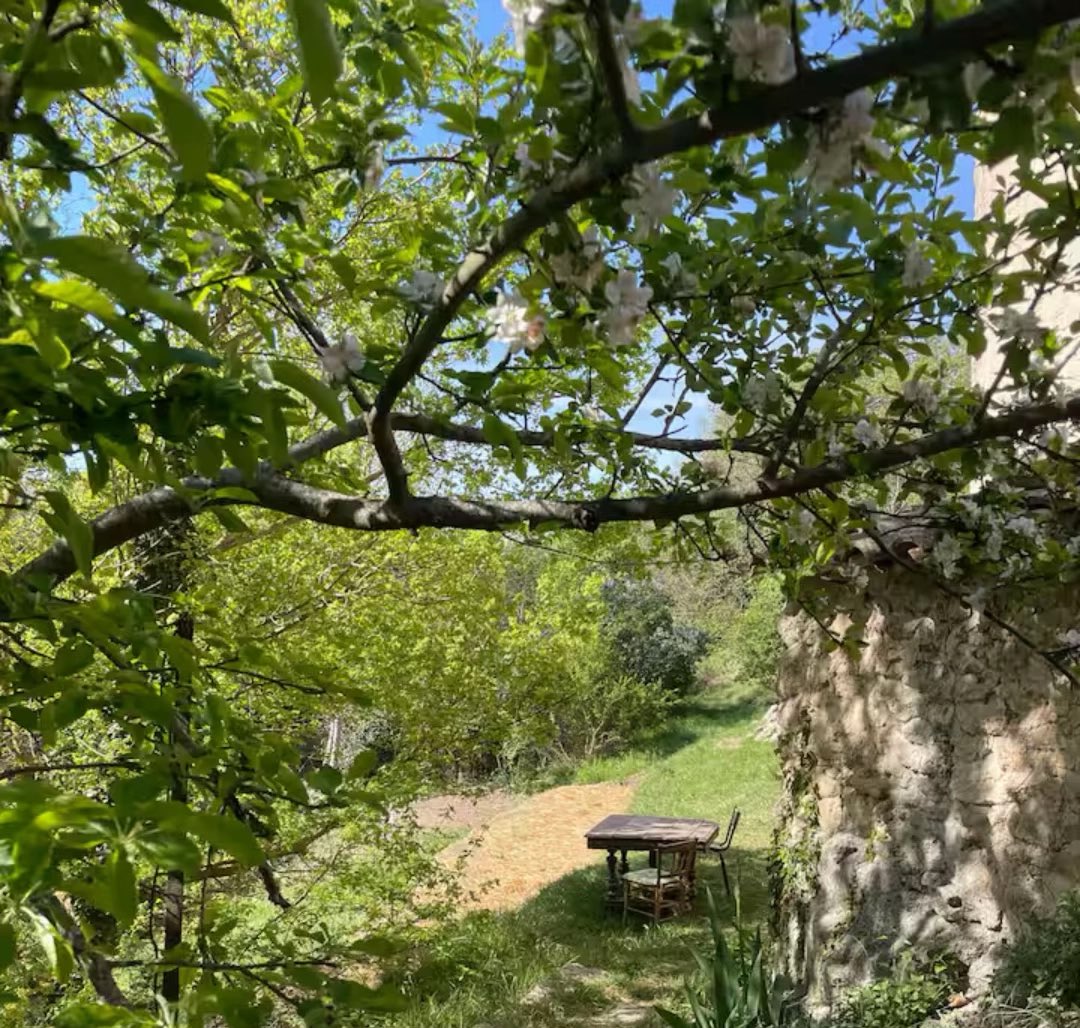 Samurái de Occidente tweet media