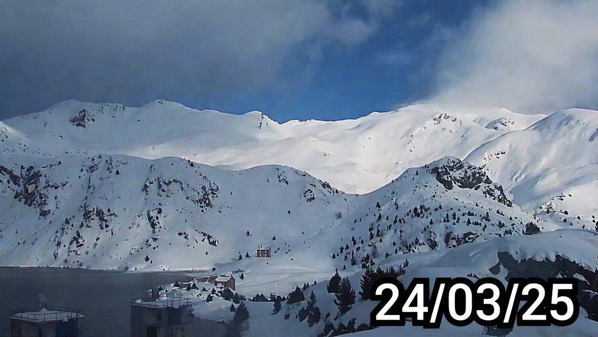 Lo Xic de Feliciano ⭑X tweet media